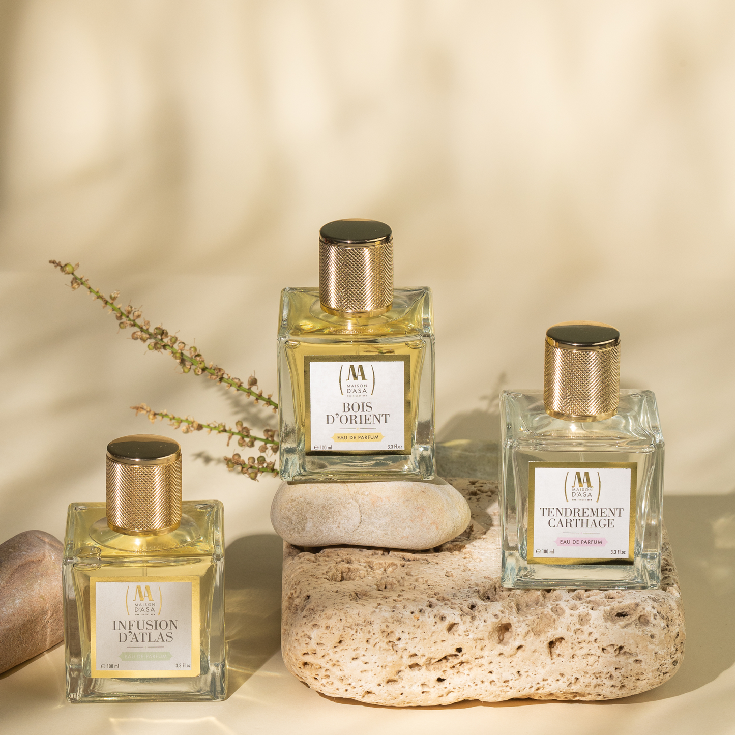 Eastern wood - Eau de Parfum