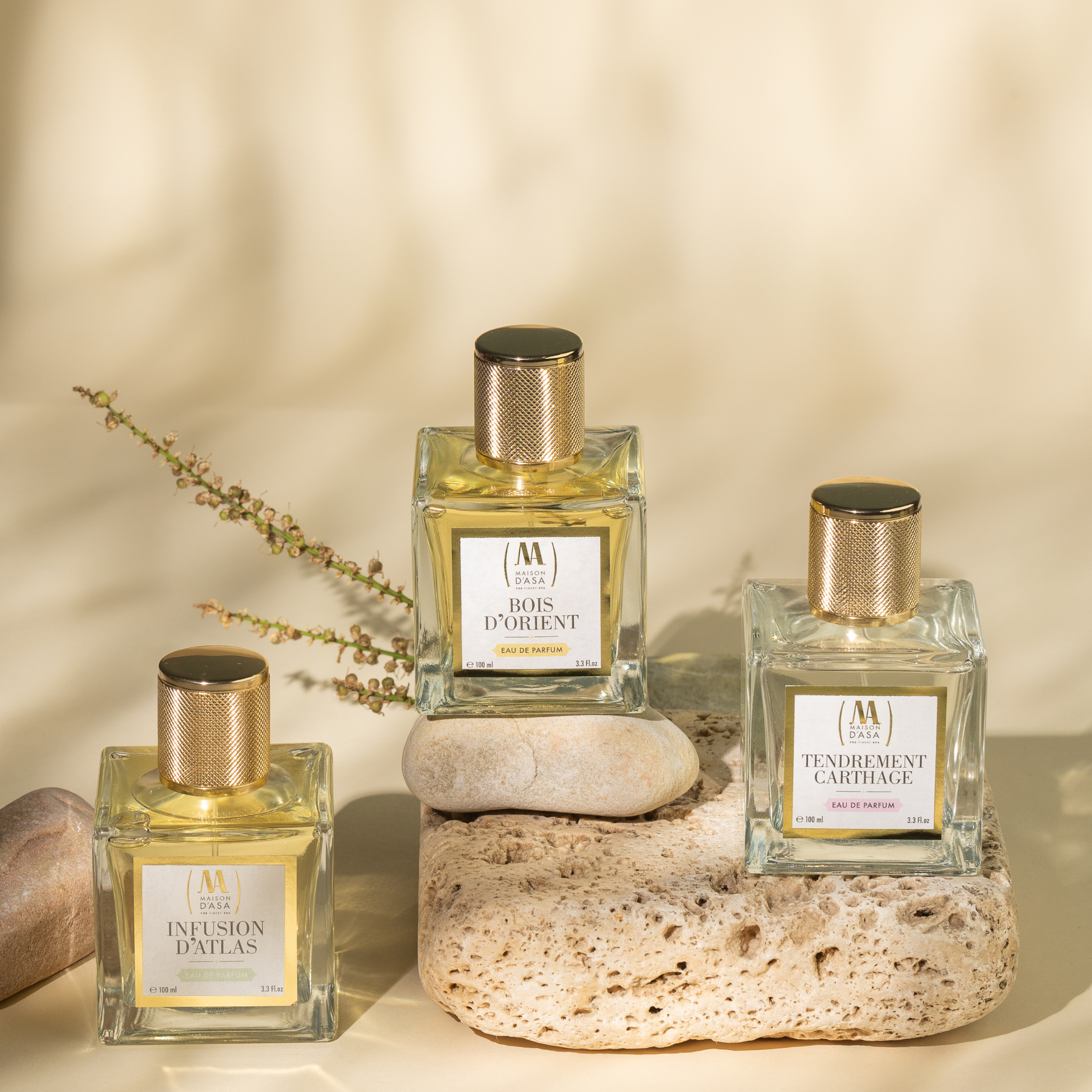 Infusion perfume hotsell